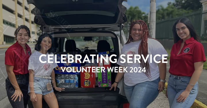 NSLS members making a better world during Volunteer Week 2024
